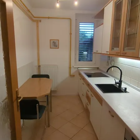 Appartamento Apartma Pri Boru