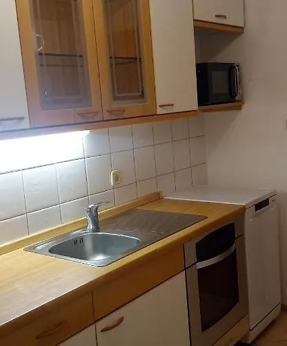 Lejlighed Apartma Pri Boru